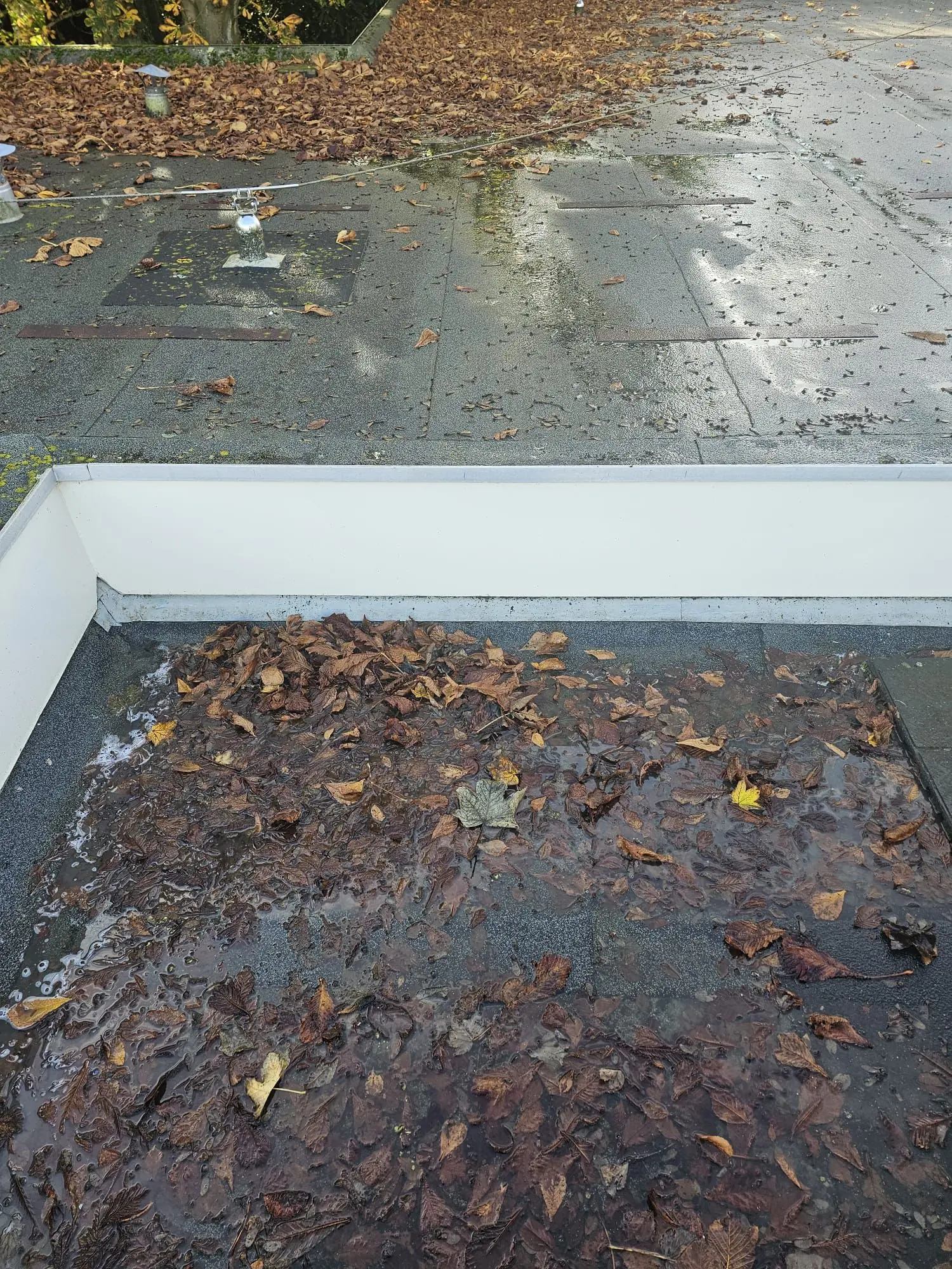 Boeidelen reiniging Kindcentrum De Kerkuil Limmen na softwash behandeling Kings Cleaning