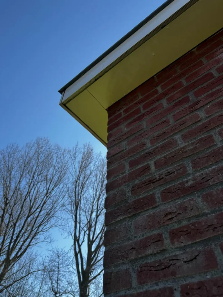 Dakgootreiniging Noord Holland Kings Cleaning